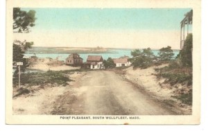 Post card of the road approaching Pleasant Point